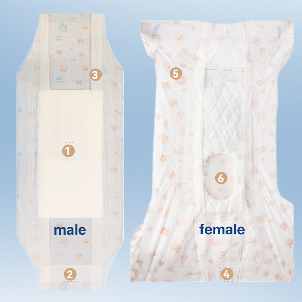 犬の衛生用に展示されているペット用紙おむつ