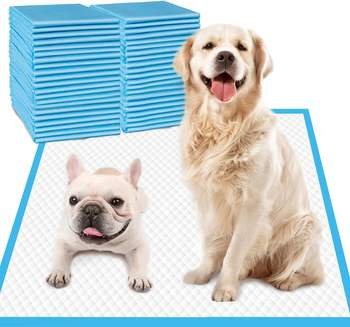 青い滑り止め付きペット用おしっこパッドを重ねた横に2匹の犬