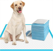 積み重ねられた青いペット用トレーニングパッドの横に座る犬