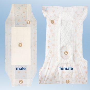 犬の衛生用に展示されているペット用紙おむつ